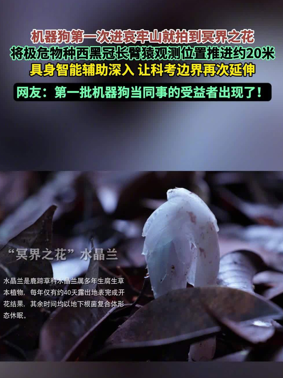 壹号娱乐：您的专属体育与娱乐竞技场 - 壹号娱乐1